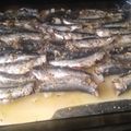 El cooksnap de Valen Lopez cuando hizo Sardinas al horno.