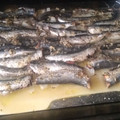 El cooksnap de Valen Lopez cuando hizo Sardinas al horno.