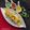 Deepa Rupani's cooksnap of when they made Khaman Dhokla.