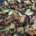 Cooksnap dari Restinauli Suyanto untuk resep Tumis petai cumi asin dower