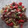 El cooksnap de Eva Party cuando hizo Salteado magro con verduras.