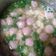 Cooksnap dari Yuli Dzaky untuk resep Sayur Sop Ayam
