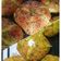 Cooksnap dari Ukhti Ika untuk resep Korean Garlic Cheese Bread