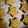 Cooksnap dari Wilna Maiyestinoval untuk resep Oregano Cookies (Salty, Less Sugar)