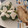 El cooksnap de Enrique Miguel Carnicero cuando hizo Dorada y brócoli con salsa de yogur. Airfryer y microondas.