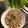 Ivan Lam 的 泰式豬肉碎生菜包 cooksnap