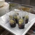El cooksnap de miguelotal cuando hizo Banderillas en aceite.