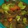 Cooksnap dari Titis Ajeng untuk resep Tongseng kambing