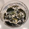 Cooksnap dari Mamawok untuk resep 252. Cincau Hijau Homemade