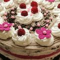 Gyuláné Sisa Cooksnap-ja, amikor elkészítette a(z) Málnás Oreo torta receptet.