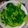 夜上莫 的 清燙大陸妹 cooksnap