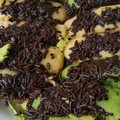 Cooksnap dari Siti Anisah untuk resep Pukis Empuk takaran sendok