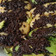 Cooksnap dari Siti Anisah untuk resep Pukis Empuk takaran sendok