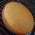 El cooksnap de Gabita Palazzo cuando hizo Bizcochuelo de naranja esponjoso y húmedo.