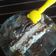 El cooksnap de Mario H. Davi cuando hizo Postre helado fácil y rápido de preparar.