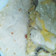 Cooksnap dari Menu Tiga Thara untuk resep Tortilla Flour (Kulit Tortilla)