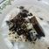Cooksnap dari Dian Anggraeni untuk resep Sop Durian Frozzen *super cepat n simple