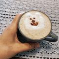 Cooksnap από Γεωργία Τρικοίλη στη συνταγή * Cappuccino * ☕