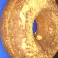 El cooksnap de Griselda Baños cuando hizo Torta esponjosa, muy rica.