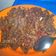 Cooksnap dari Kristal untuk resep Orek tempe kering lezat
