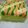 Cooksnap dari Ma2 Khansa A.N untuk resep Cake Chiffon Pandan Kukus