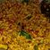 Cooksnap dari Della Rosa untuk resep Kering Tempe Awet Crispy