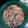 El cooksnap de Jonah Misr cuando hizo Ensalada de repollo y zanahoria.