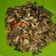 Cooksnap dari nur. adaniati untuk resep Tumis Suir ikan Tongkol SUHAAHH!!!