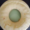 Cooksnap dari Mmy untuk resep Brudel - Bolu Roti Manado