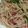 Somi Ali's cooksnap of when they made Fajita spaghetti!🍝.