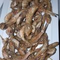 صورة من نسيم البحر 🌊، شاركها بعد تجربة وصفة سمك قلي زوري ☺️🇮🇶