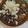 El cooksnap de Gerardo Vergara cuando hizo Feijoada.