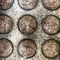 Fáró Judit Cooksnap-ja, amikor elkészítette a(z) Gyors csokis muffin receptet.