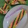 Cooksnap dari Mama Diarcy untuk resep Anyam rainbow rollcake