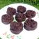 Cooksnap dari Lia Lidya Anggraini untuk resep Brownies Milo Kukus/#pr_adakejunya
