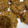 Cooksnap dari Cia Amalia untuk resep Falafel