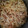El cooksnap de Jonas Cobos cuando hizo Spaghetti con atún, tomate y huevo.
