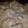 jeri.cunningham1's cooksnap of when they made Southern Smothered Chicken.