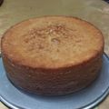 Cooksnap dari Alin Astry untuk resep Bolu pisang panggang