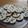 El cooksnap de Mar cuando hizo Galletitas de manteca clásicas 🧈.