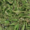 Cooksnap dari Hai Aim Manusia untuk resep Tumis kacang panjang bumbu kuning