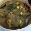 Cooksnap dari Gite untuk resep Sayur lodeh khas jawa