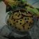 Cooksnap dari Junna untuk resep Good Time Simple