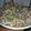 MetalMari's cooksnap of when they made Classic Celery & Onion Stuffing/Dressing.