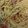 Cooksnap dari Diana Nurjanah untuk resep Spaghetti Aglio Olio with Parmesan (Kids Fave)
