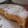 El cooksnap de sanraq1981 cuando hizo Torta de Naranja Fácil.