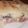 El cooksnap de aloka cuando hizo Sándwich croque monsieur.