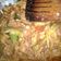 Cooksnap dari @ N ! untuk resep Tongseng kambing pedas tanpa santan