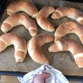 Evelin Horváth Cooksnap-ja, amikor elkészítette a(z) Vajas kifli receptet.