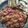 Cooksnap dari Berlian Soewandono untuk resep Sambel teri judez